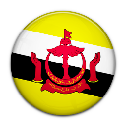 Flag Of Brunei Icon 256x256 png